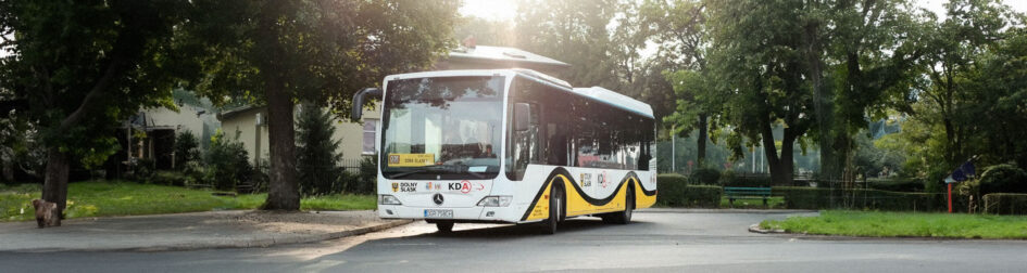 Zastępcza Komunikacja Autobusowa